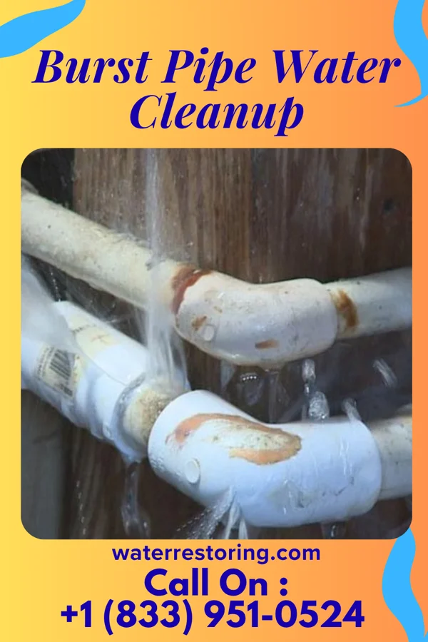 Burst Pipe Water Cleanup in Camden, IN