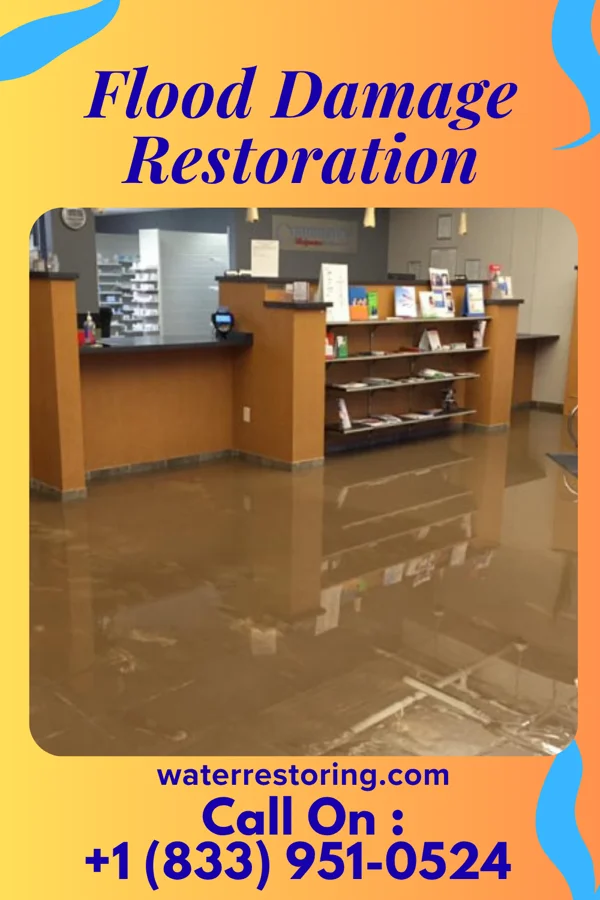 Flood Damage Restoration in Camden, IN