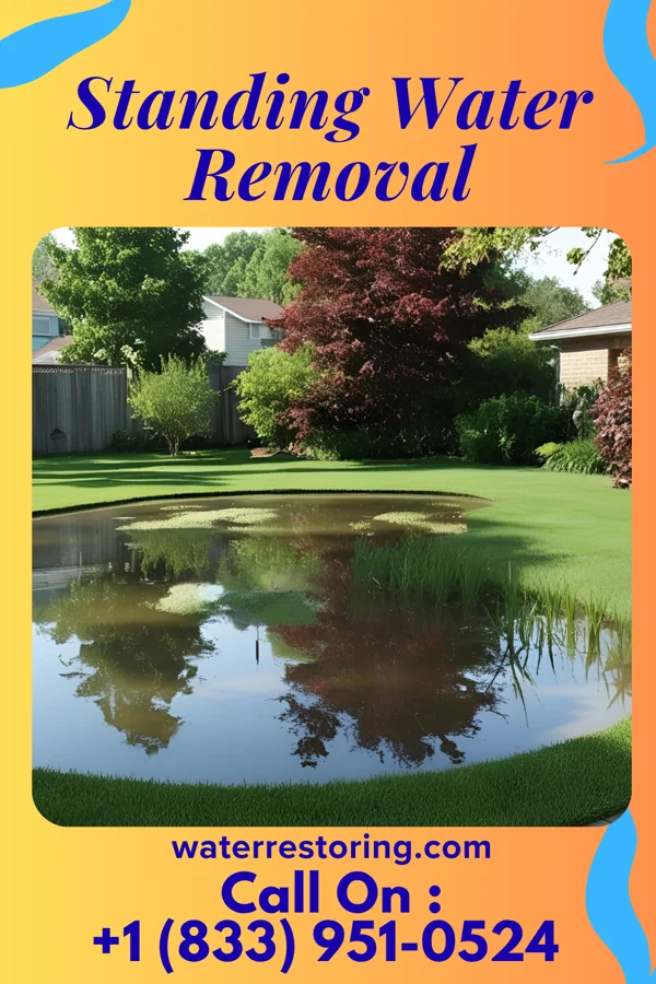 Standing Water Removal in Camden, IN
